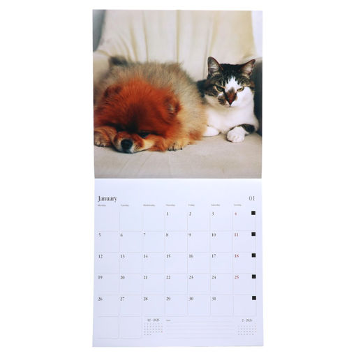 Picture of WALL CALENDAR 2026 30X30CM DOGS & CATS